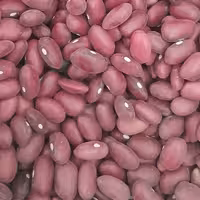 لوبیا قرمز ده کیلویی   اورگانیک و سورت شده