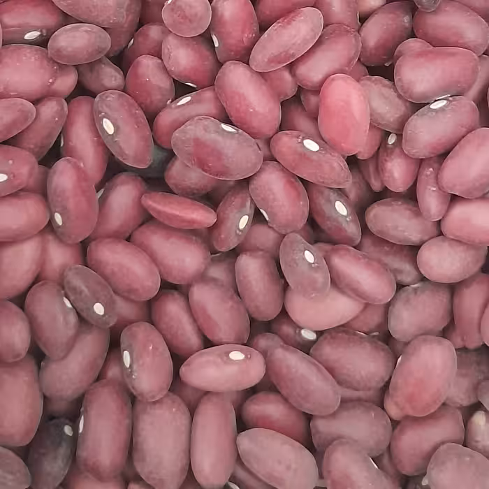 لوبیا قرمز ده کیلویی   اورگانیک و سورت شده