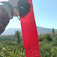 لواشک خانگی آلو ملس  میکس( شوقانی و بخارا ملس   نمکی)