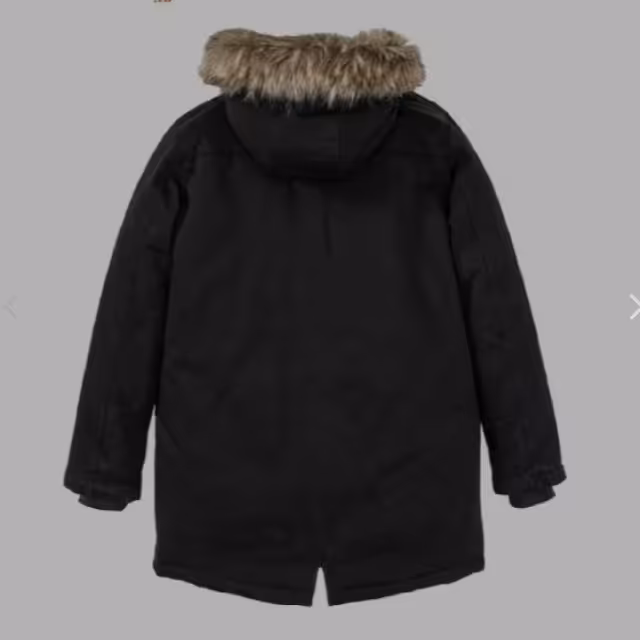 پالتو پپرتس 