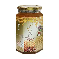 عسل 3 ستاره دانش 1کیلو گرمی دکتر روازاده 