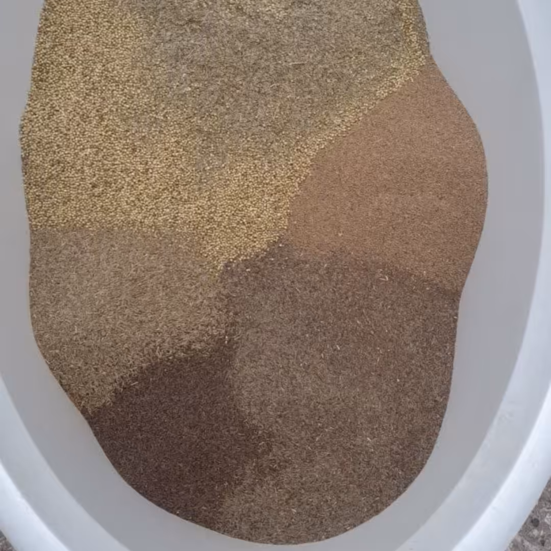 چهار زیره شسته شده خانگی اعلا با طعم بی نظیر در بسته بندی 100 گرمی به صورت پودری