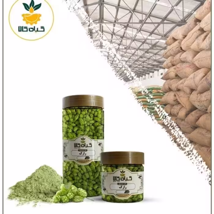 گیاه رازک با کیفیت عالی، بار امسالی و تازه(250گرمی )