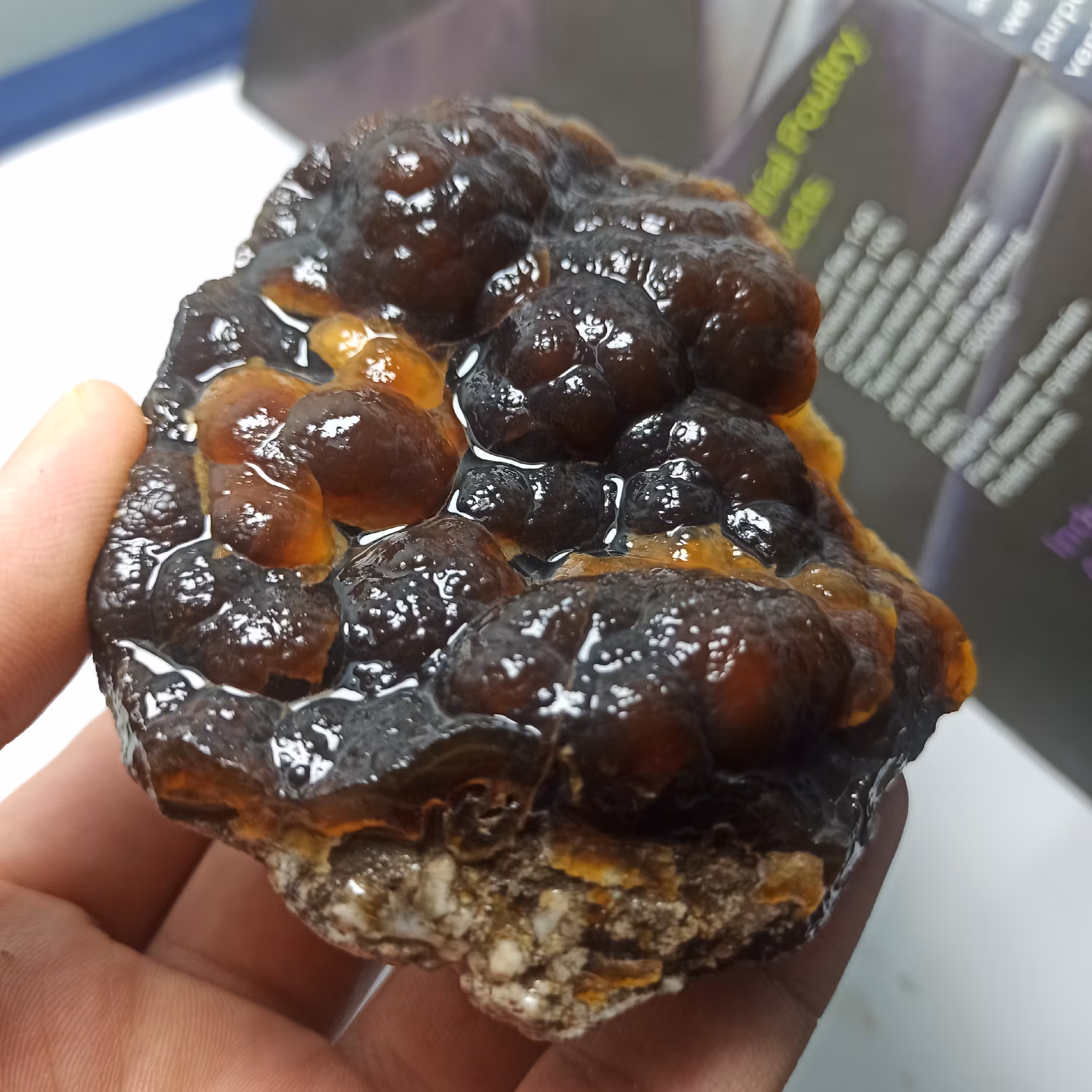 سنگ راف عقیق تاولی یا عقیق انگوری رنگ جزع تیره خوشرنگ بوتروئیدال Botryoidal