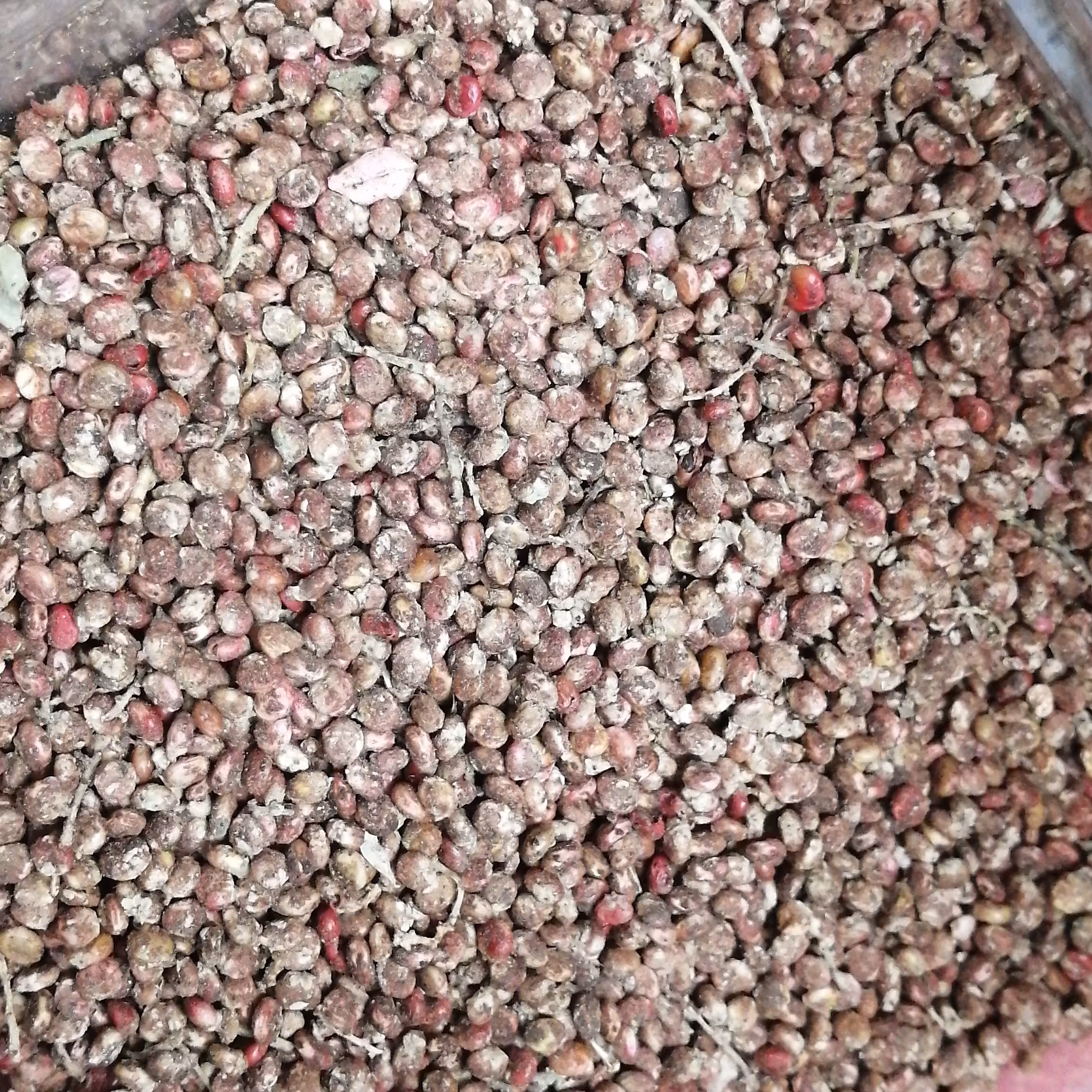 سماق نا کوب اعلا درجه یک 1 یک سیر