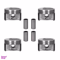 پیستون و گژنپین عظام مدل STD مناسب برای روا