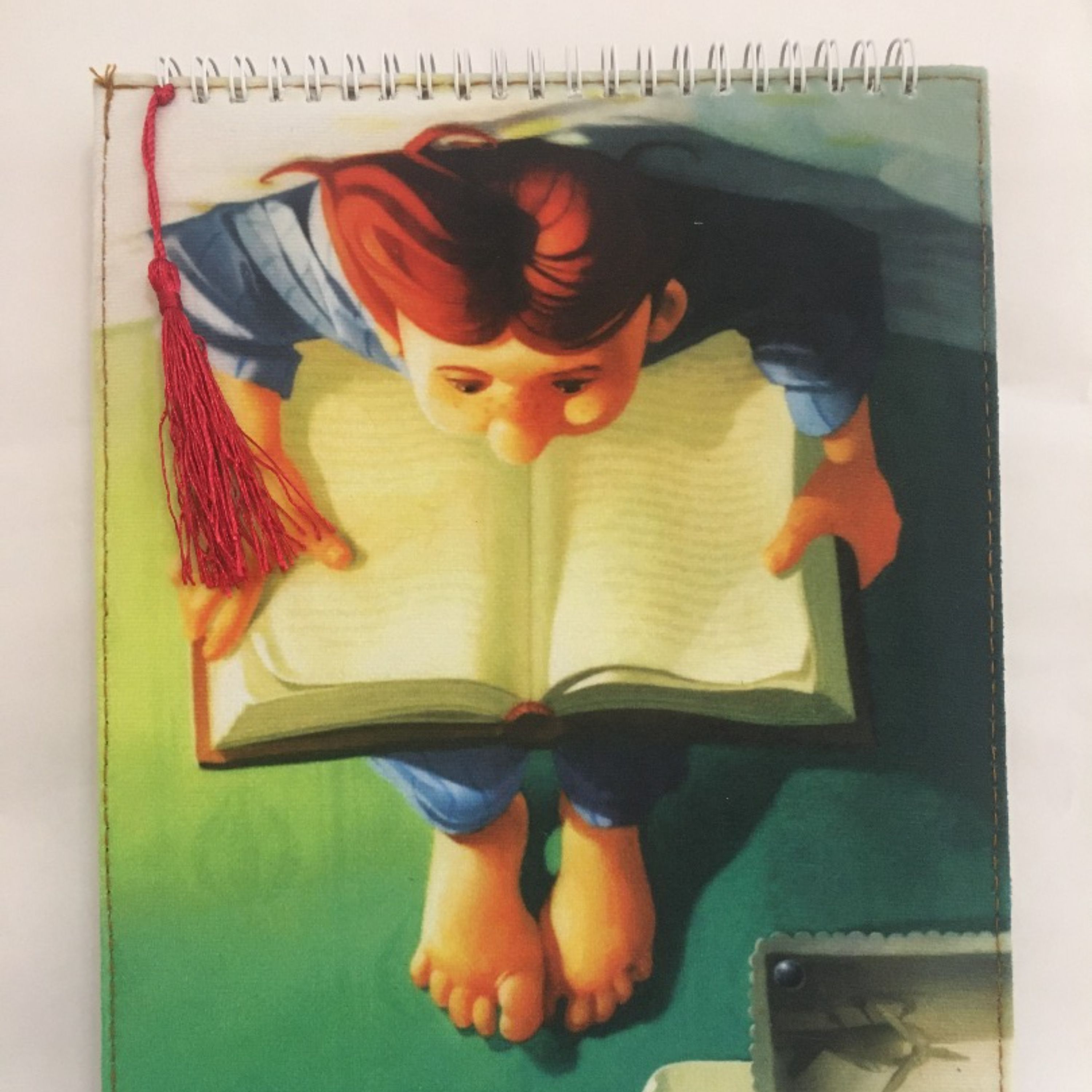 دفتر پارچه ای مخمل طرح فانتزی کتابخوانی سایز A4 با 80 برگ بدون خط
