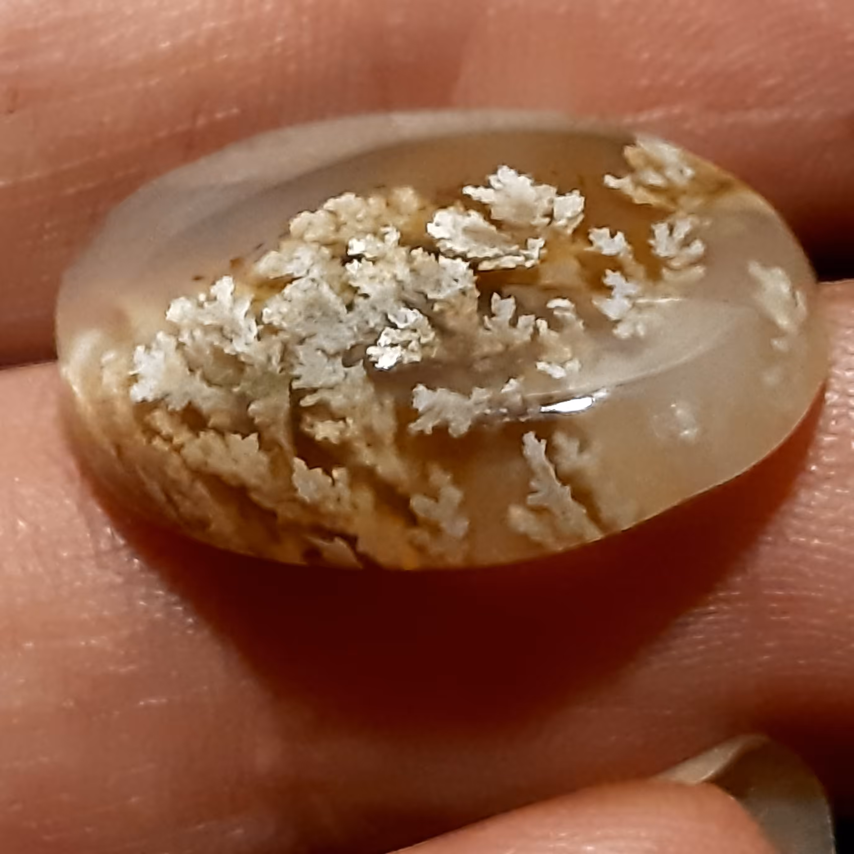 شکوفه سیب عقیق بهاری بسیار زیبا مخصوص گردنی 