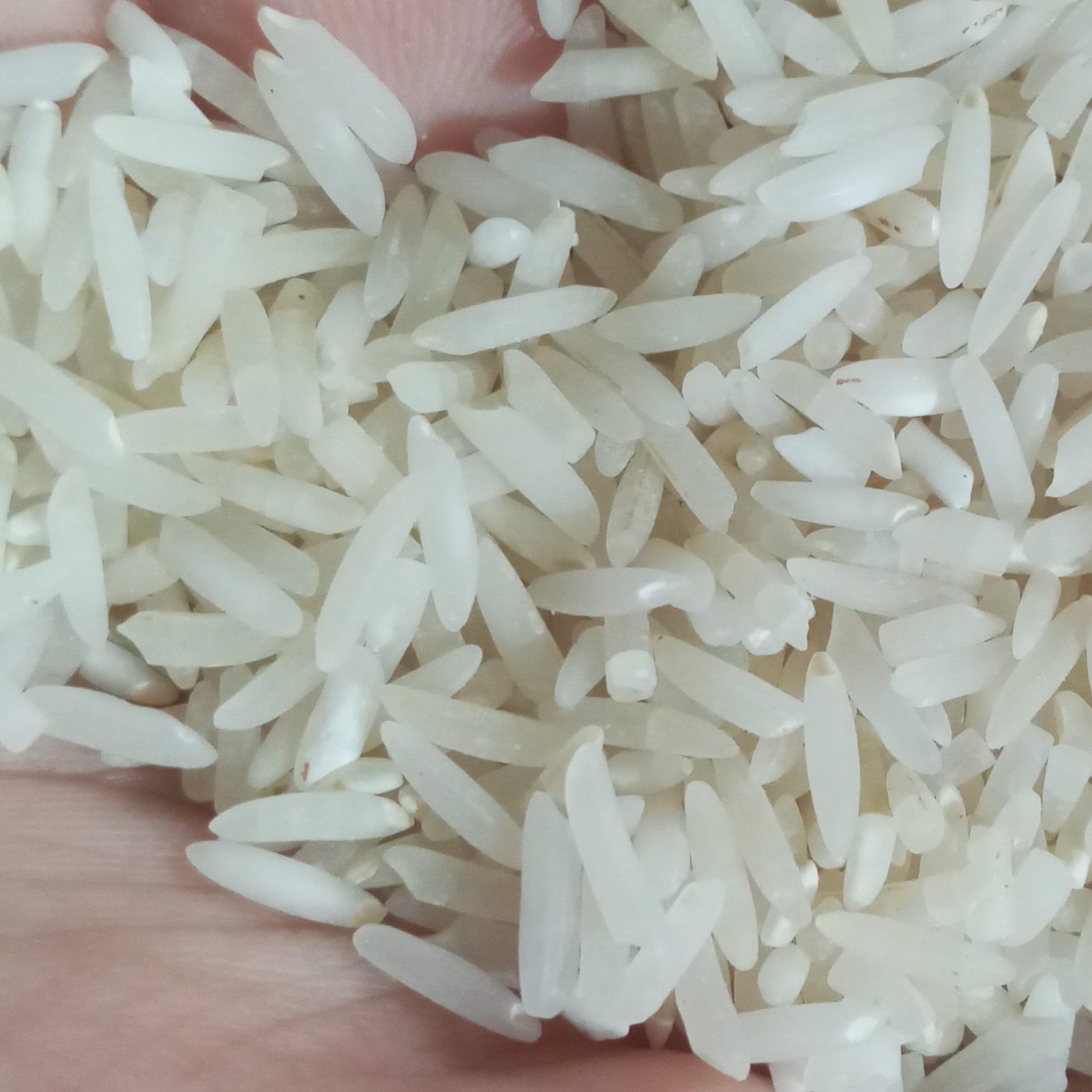 برنج طارم هاشمی 10 کیلویی بوجار شده