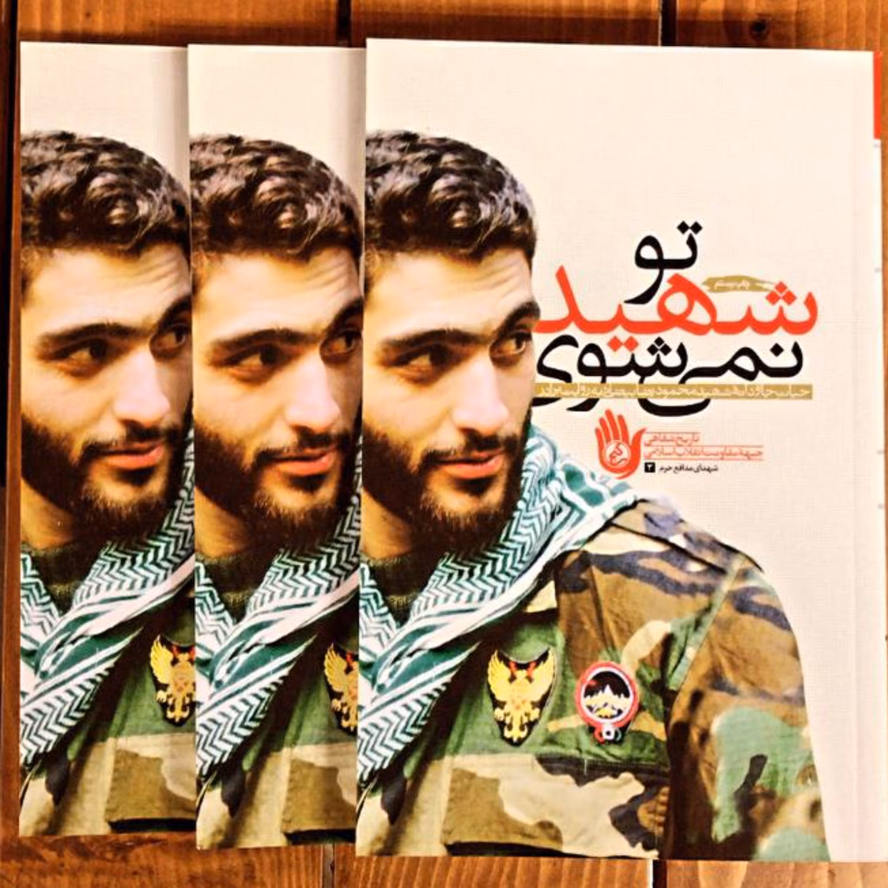 کتاب تو شهید نمی شوی