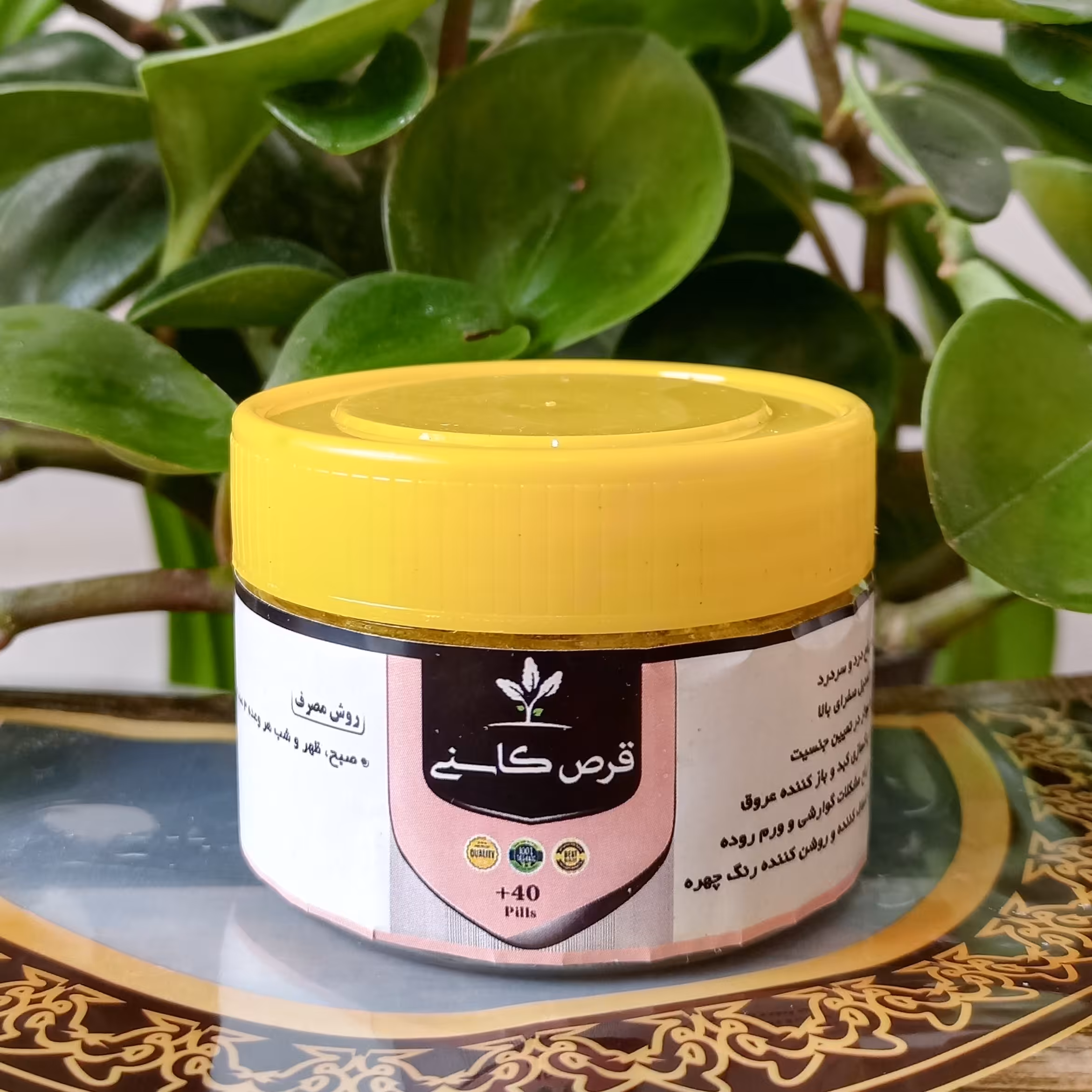 کاسنی، پاکسازی کبد، مفید برای سیروز کبدی، صاف کننده ی خون، شفاف کننده و روشن کننده ی رنگ چهره، تعدیل کننده صفرا