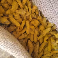 چوب قلم زردچوبه هندی اصل ( 1000 گرم)