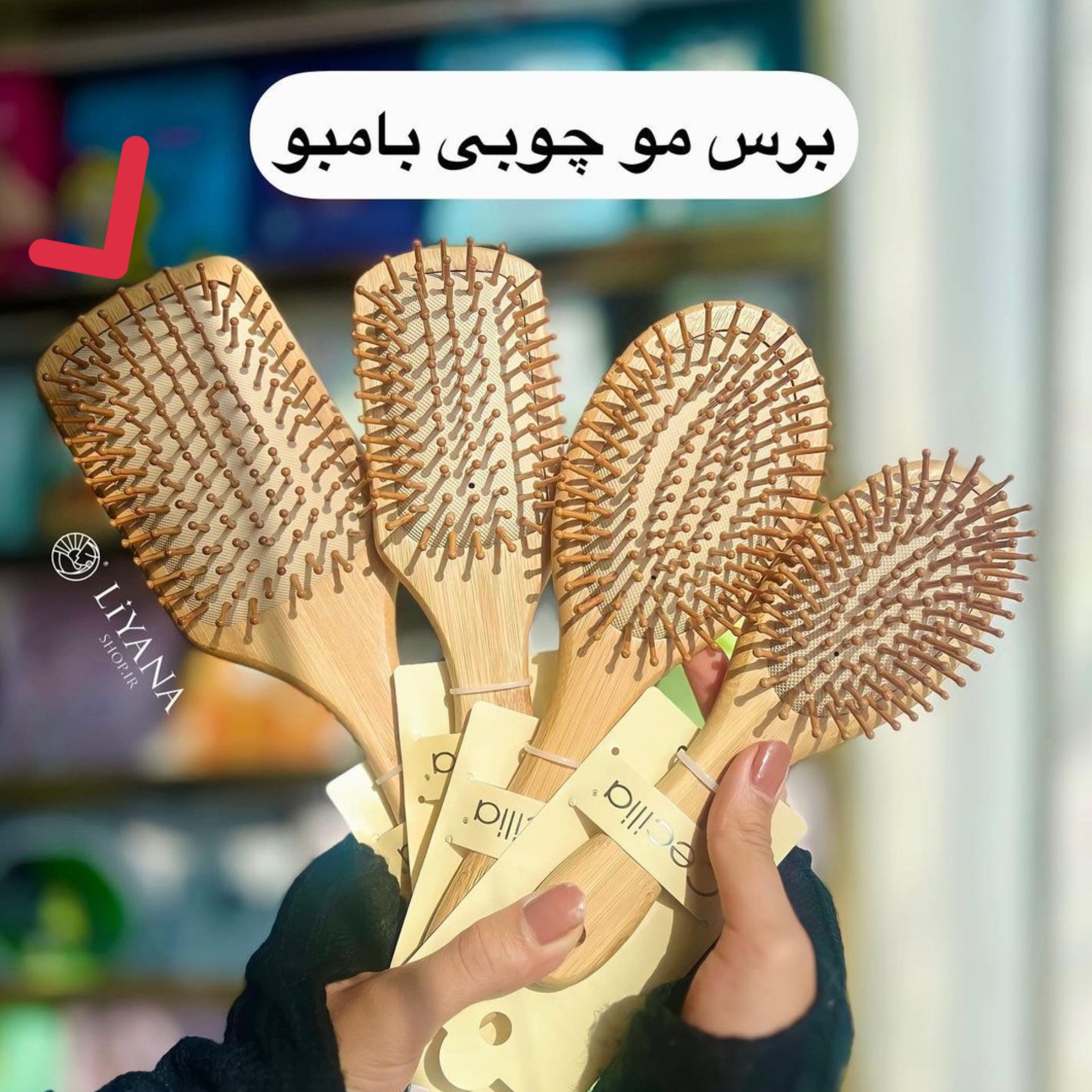 برس مو چوبی بامبو اصل سایز بزرگ لیانا شاپ