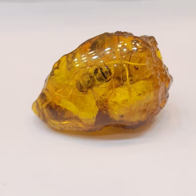 راف کهربا ساخت دست