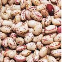 لوبیا چیتی درجه یک