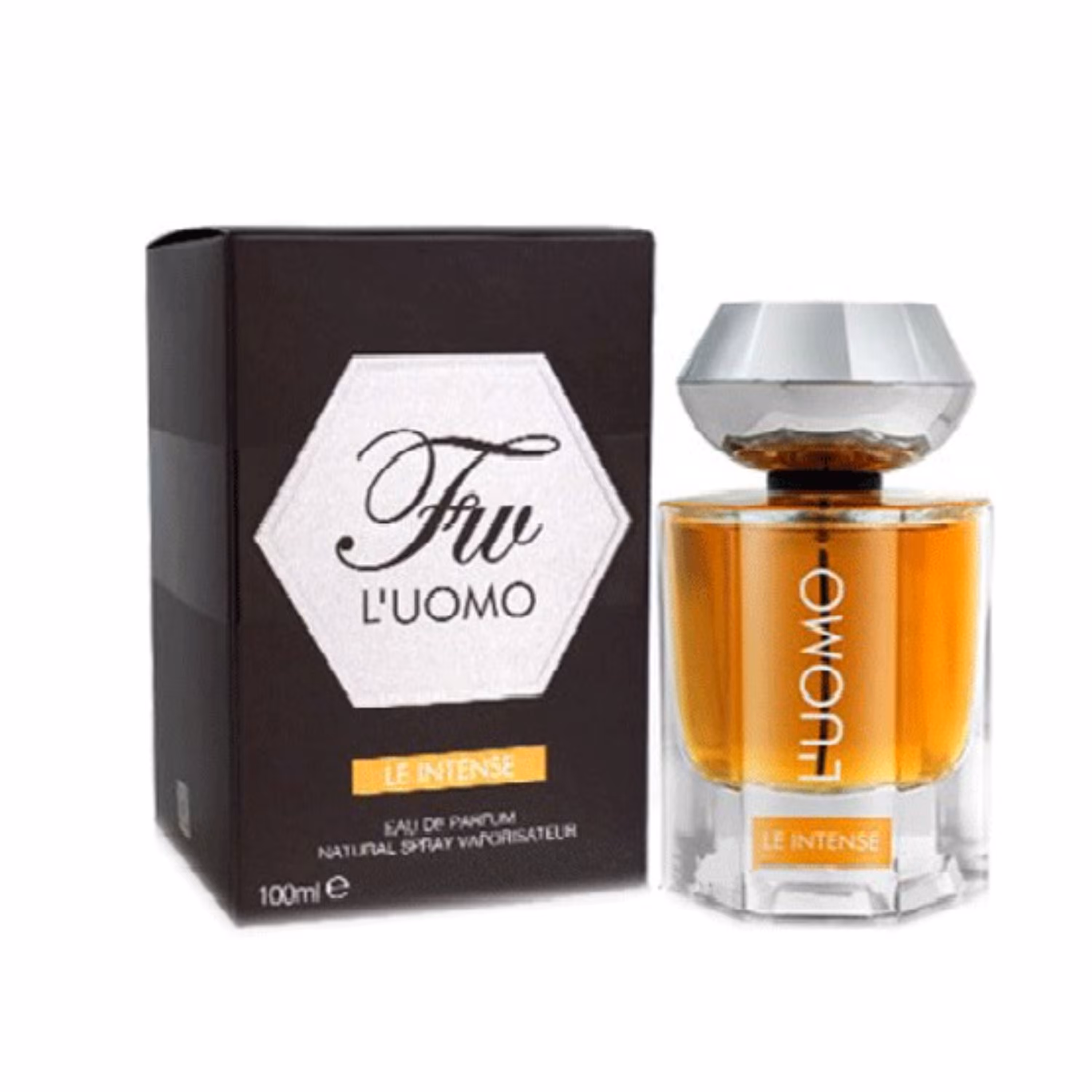 عطر ادکلن مردانه ایو سن لورن لهوم اینتنس فراگرنس ورد (fur L Uomo Le Intense men)