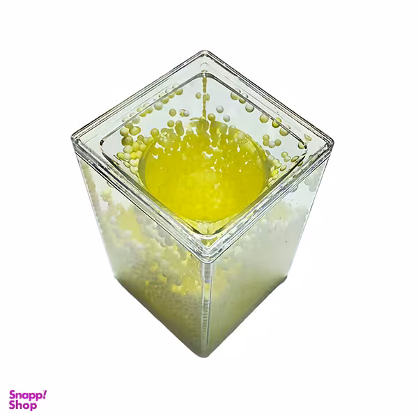 جاقلمی رومیزی مدل آکواریومی