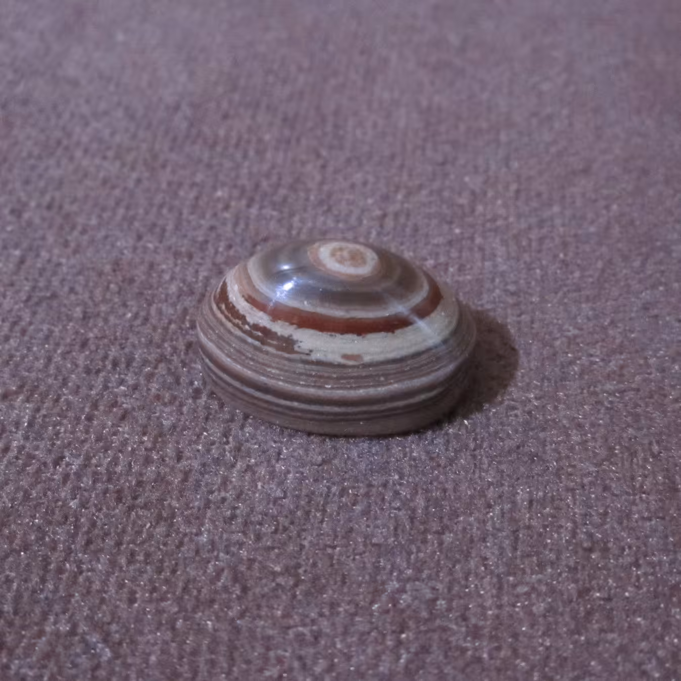 نگین عقیق باباقوری اصل و معدنی باباقوری یمن با چشم باباقوری واضح