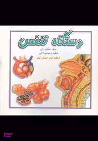 کتاب دستگاه تنفس اثر هنگامه ژالی انتشارات عسل نشر