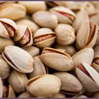 پسته اکبری خام دستچین یک کیلویی یلدایی لوکس آقای زعفران