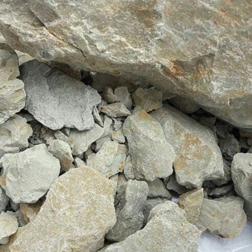 گل سرشور نیم کیلویی