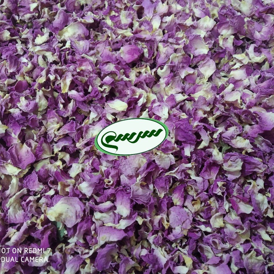 پر گل محمدی