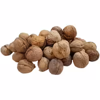 گردو با پوست ایرانی - آجیل و خشکبار ماهتیسا