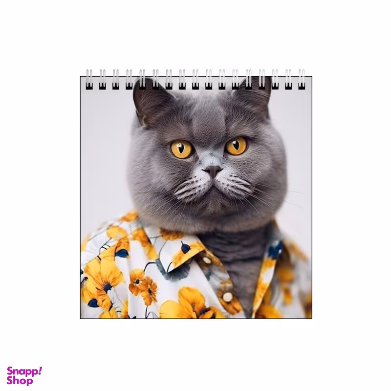 دفتر طراحی بامبیلیپ طرح گربه اسکاتیش بلو جنتلمن کد 5846595