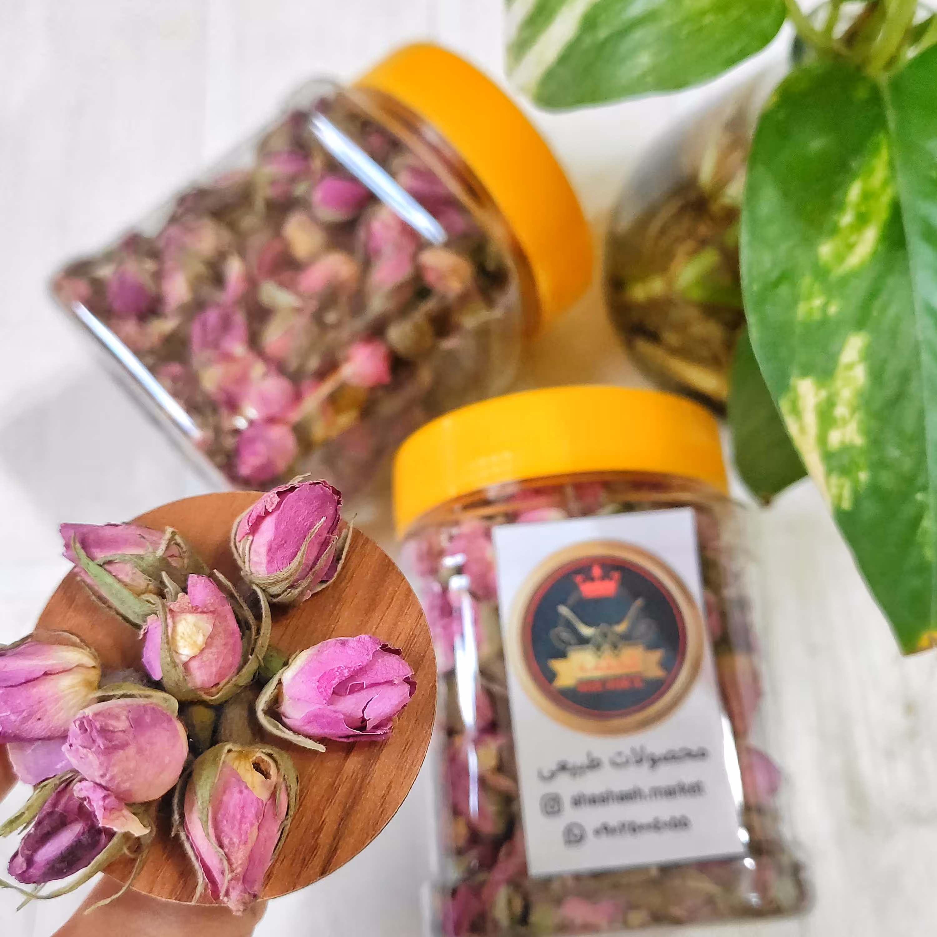 غنچه گل محمدی خشک 50 گرمی (غنچه معطر داراب)