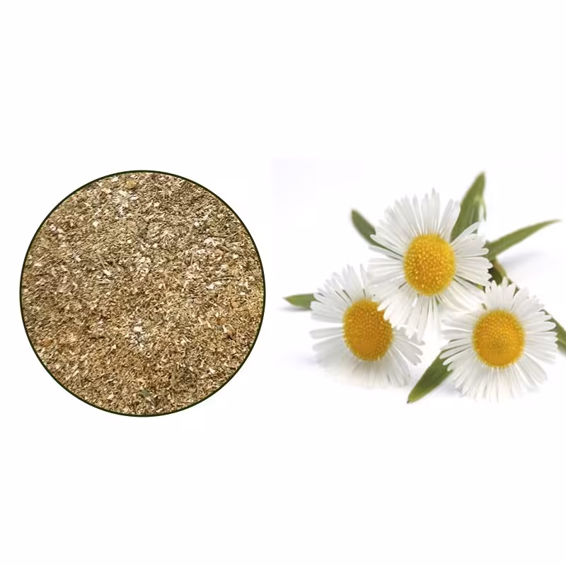 پودر بابونه شده ممتاز بسته 50 گرمی