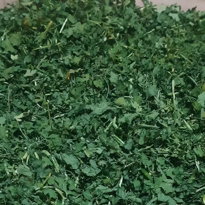 جعفری خشک 10 کیلویی