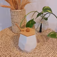 ظرف عسل برند وگاتی