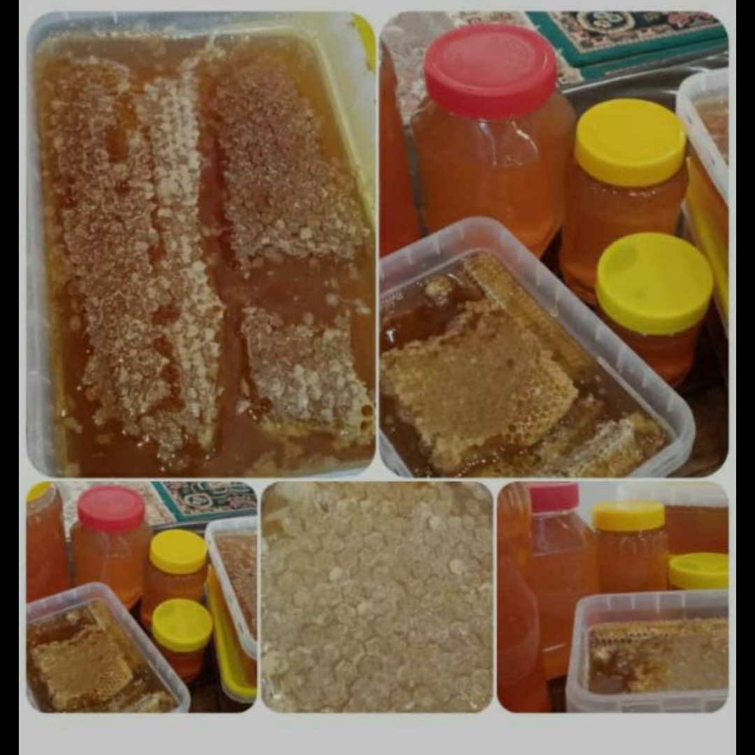 عسل طبیعی بدون موم وباموم کاملا اورگانیک