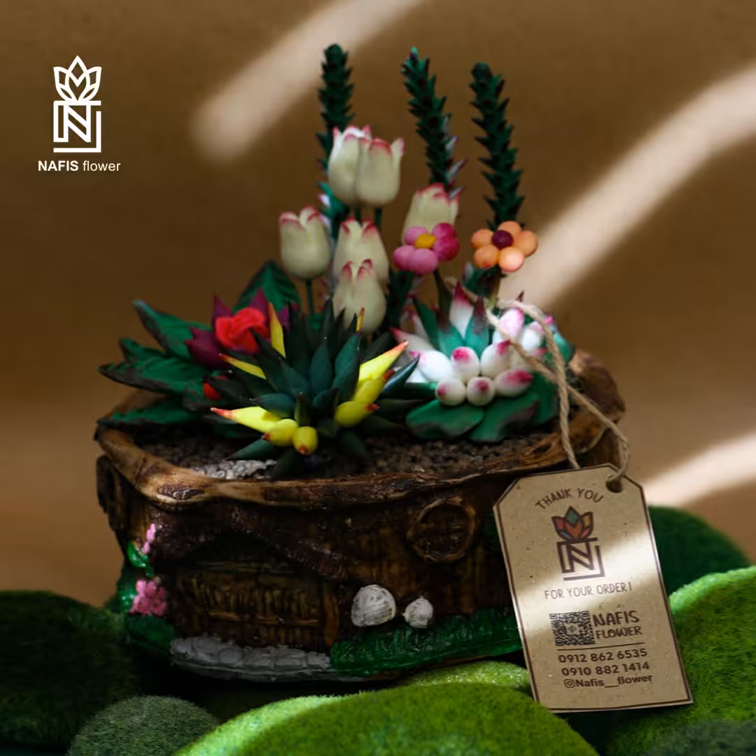 دکوری کلبه با کاکتوس