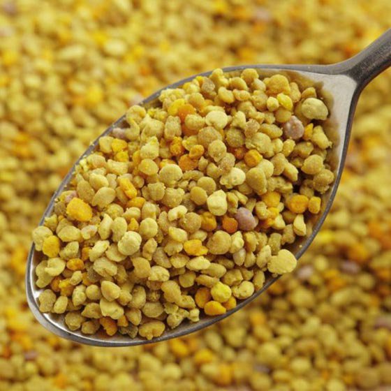 گرده گل مولتی ویتامین کاملا طبیعی معروف به بمب انرژی مخصوص پرندگان زینتی