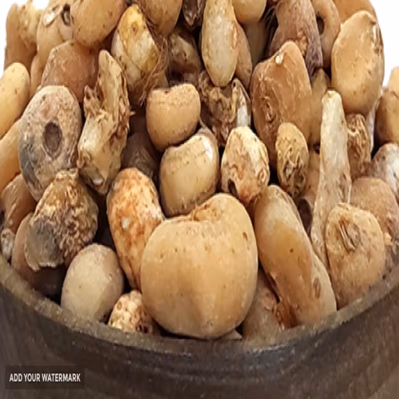 زراوند گرد مدحرج اصل 200 گرمی 