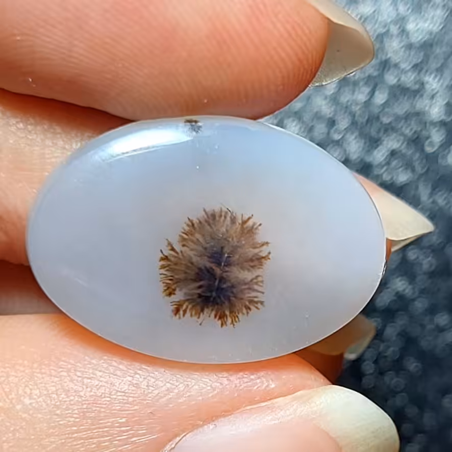 نگین شجر قاصدکی واضح تک شجر بسیار خاص و زیبا کدM202