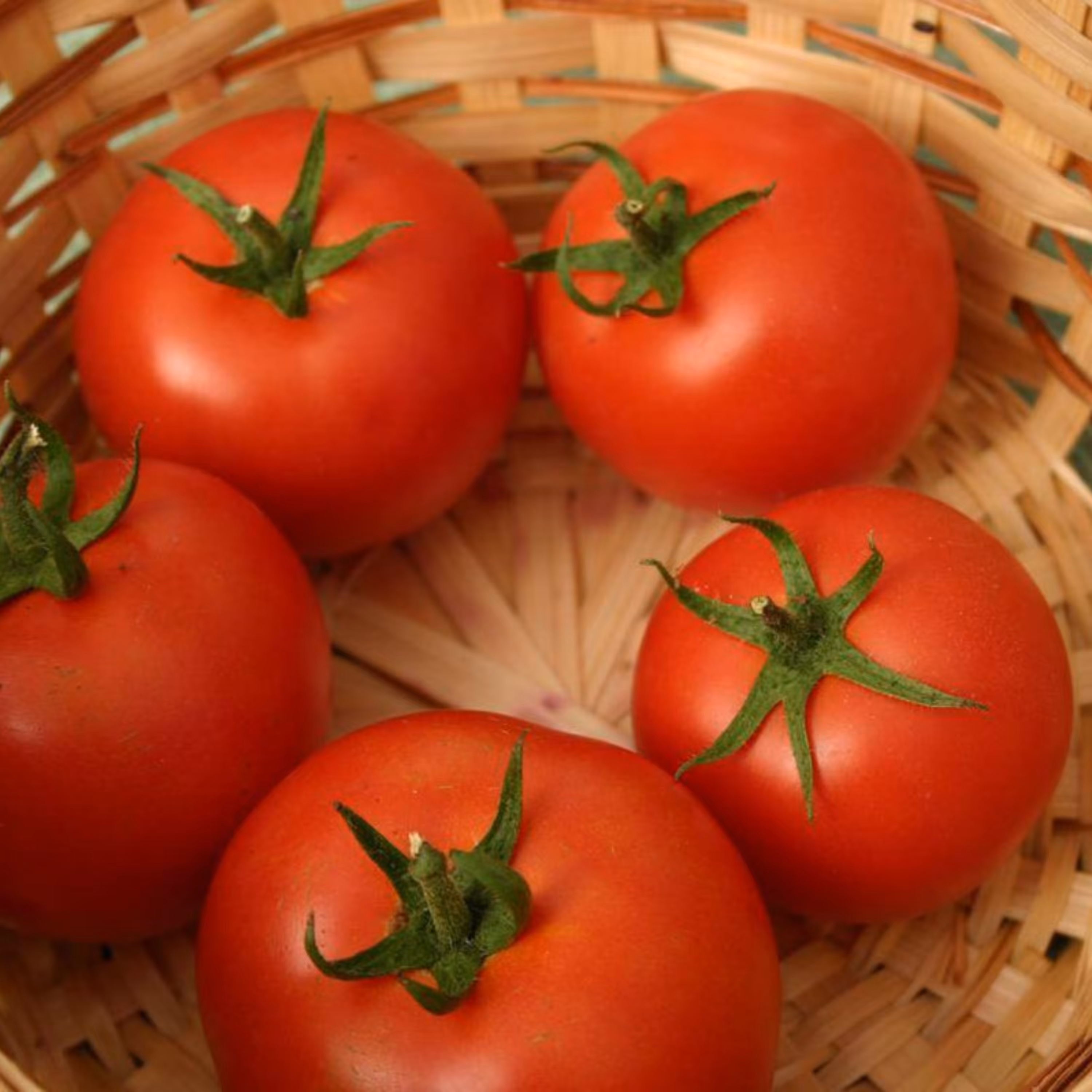 بذر گوجه گیلاسی کلاستر 20 عددی