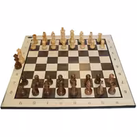 صفحه و مهره شطرنج کلاسیک طرح DGT