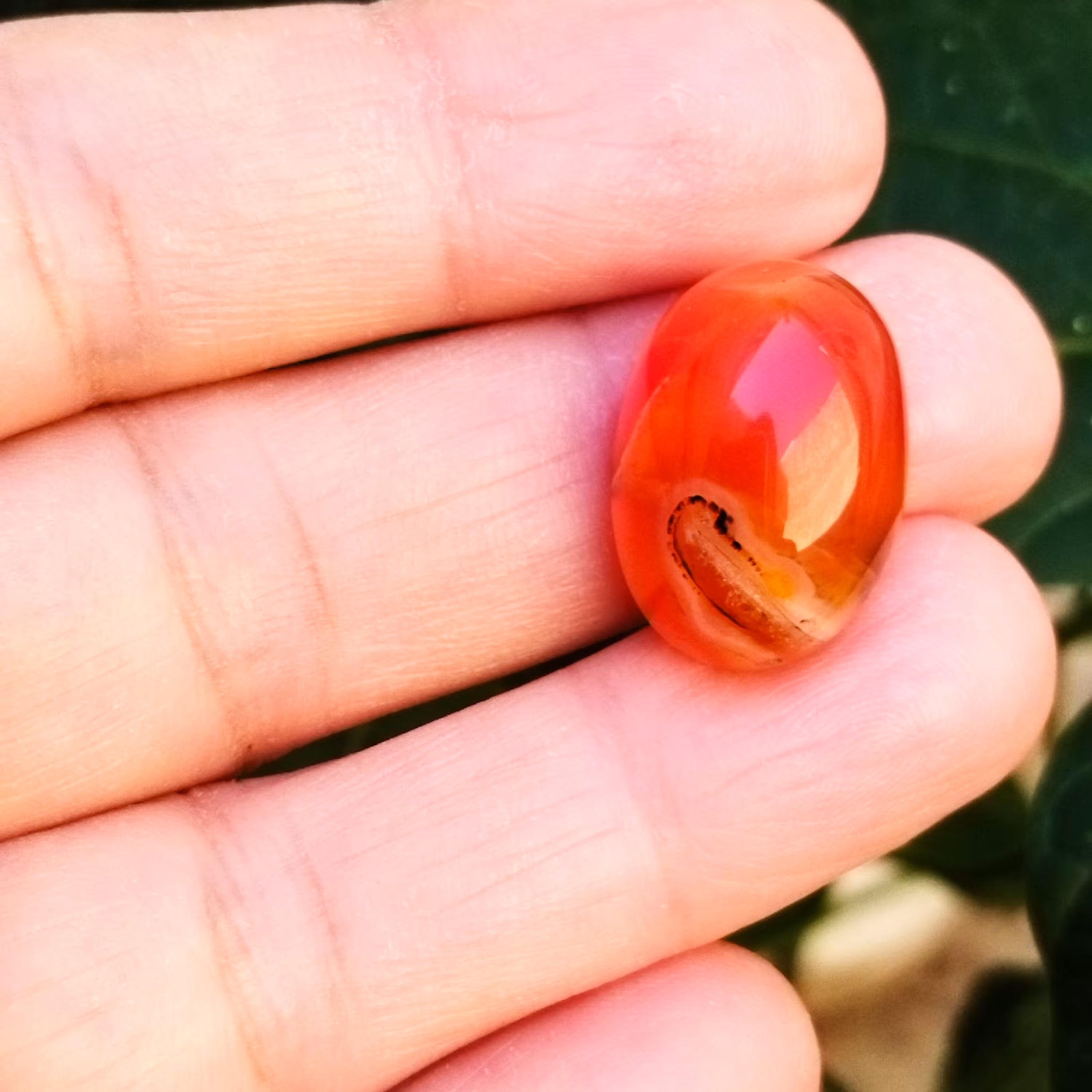  عقیق معدنی درشت  آبدار دامله شجر دار خوشرنگ انگشتر  گردنی  و رومانتویی خاص