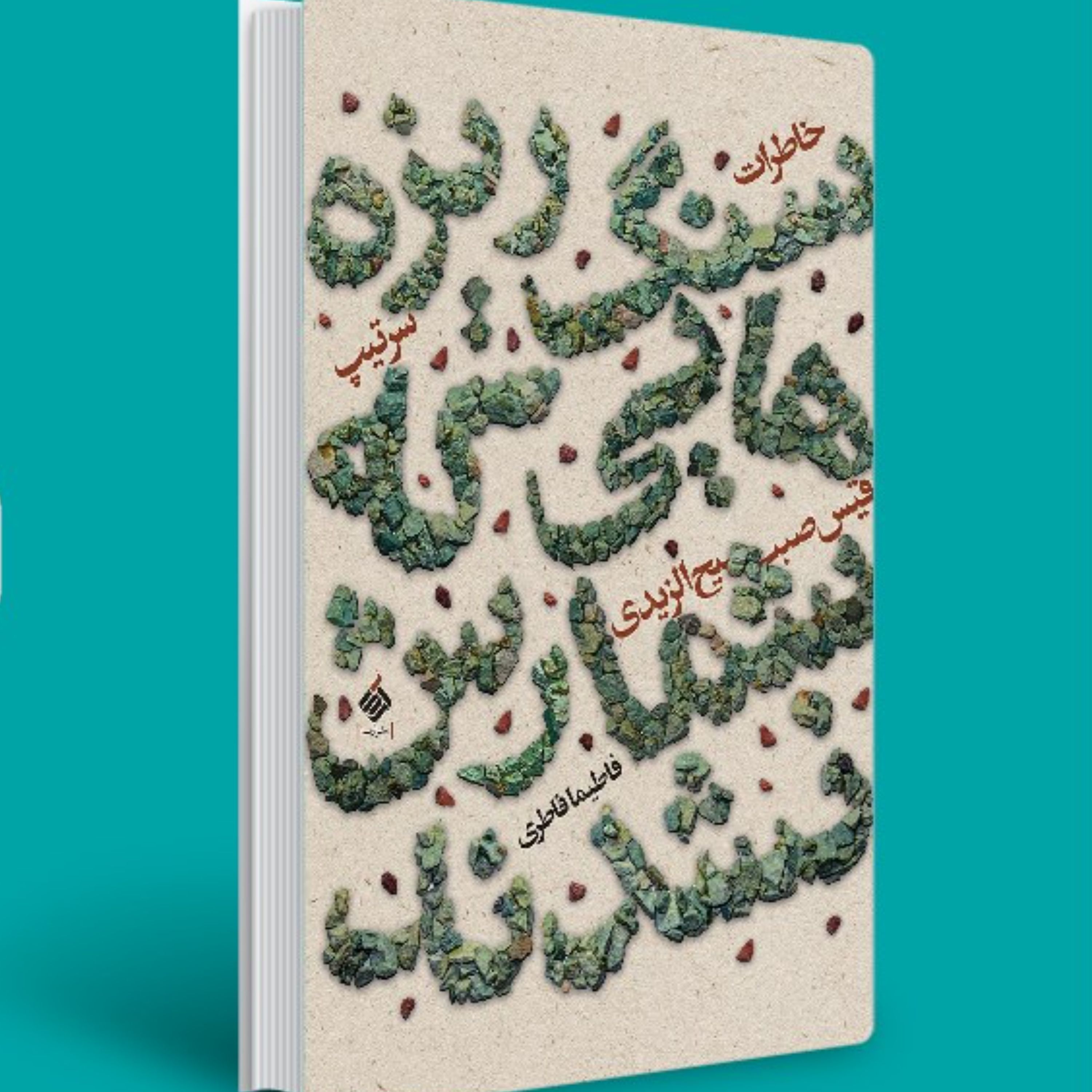 سنگریزه هایی که شمارش نشدند