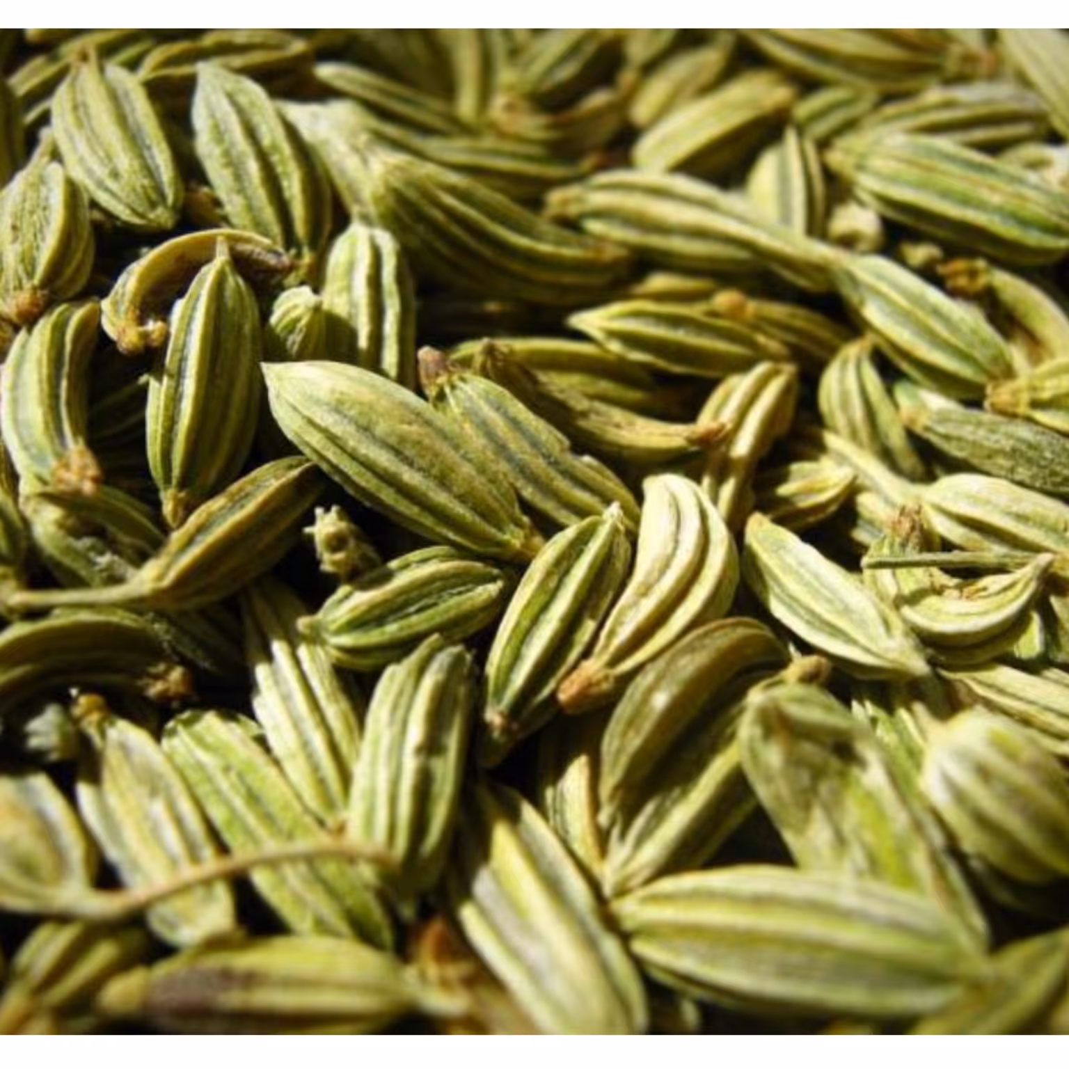 زیره سبز اعلا درجه یک محلی