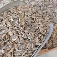 تخمه آفتابگردان خارجی طعم گلپر هشتصد گرمی