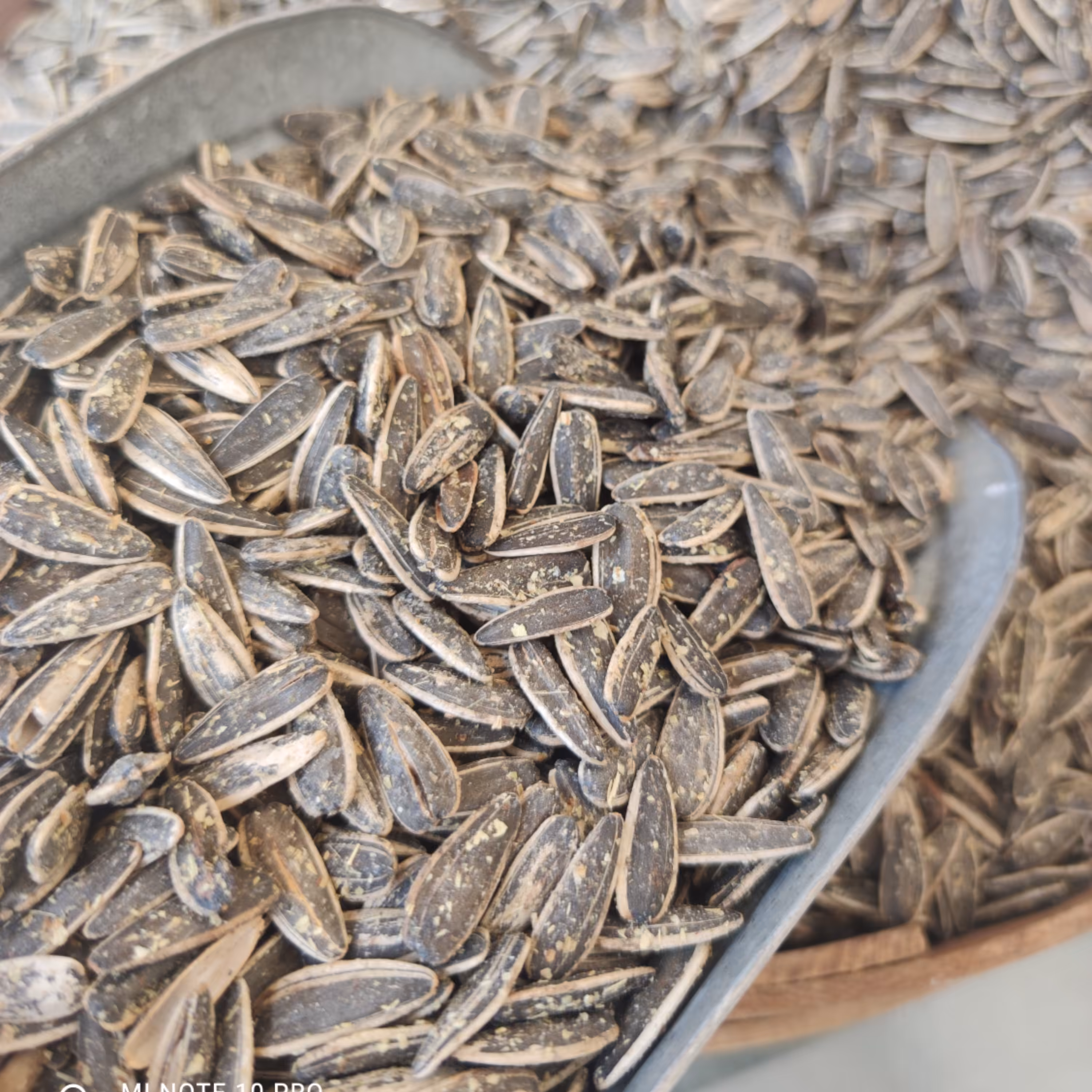 تخمه آفتابگردان خارجی طعم گلپر هشتصد گرمی