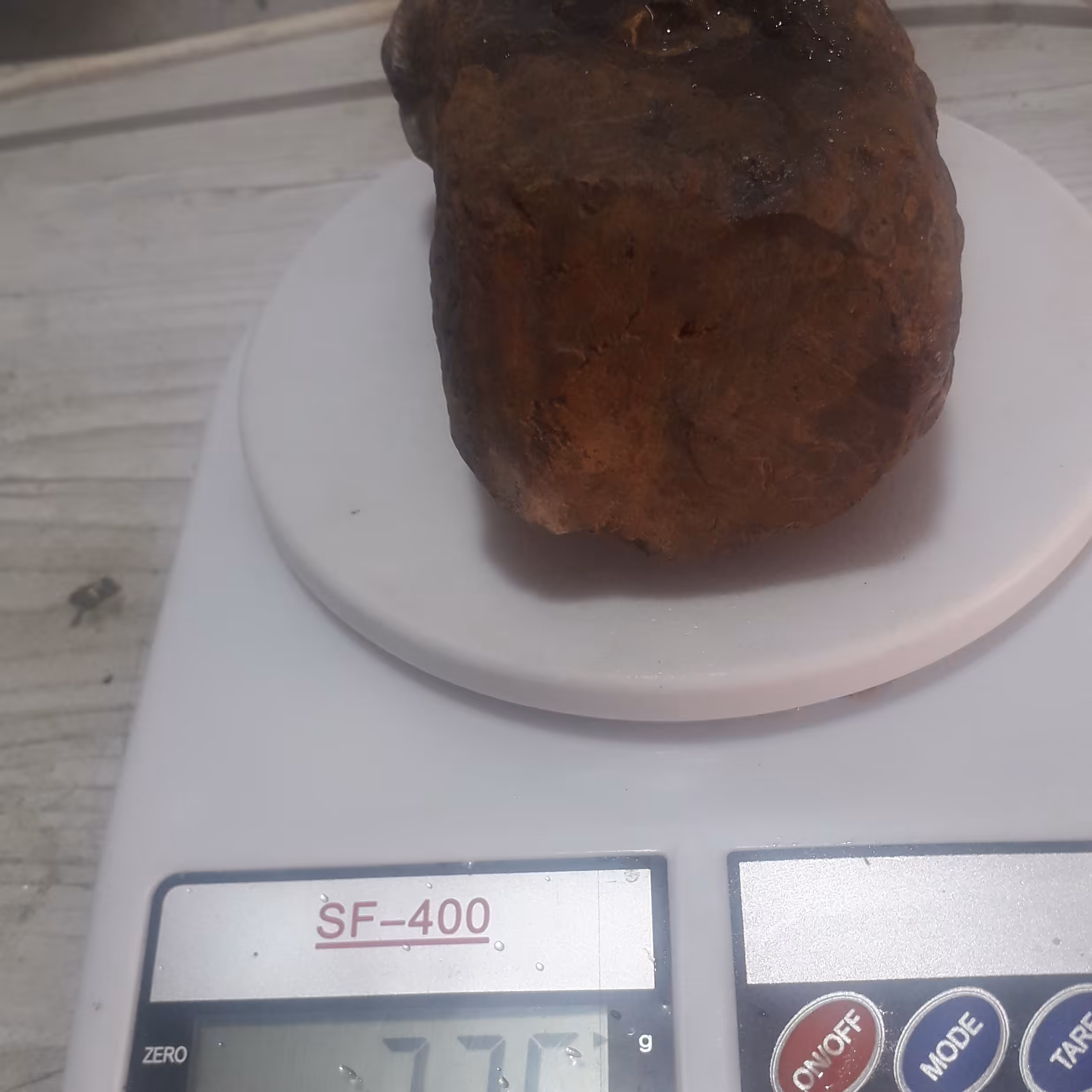 فسیل قهوه ای نارنجی وزن775