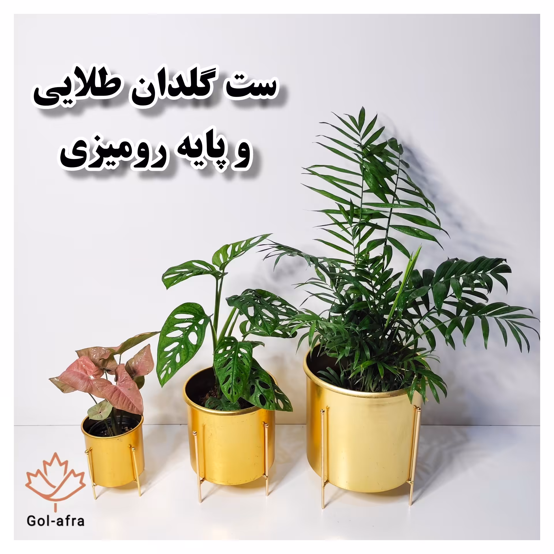 گلدان فلزی طلایی قطر 21 بهمراه استند 