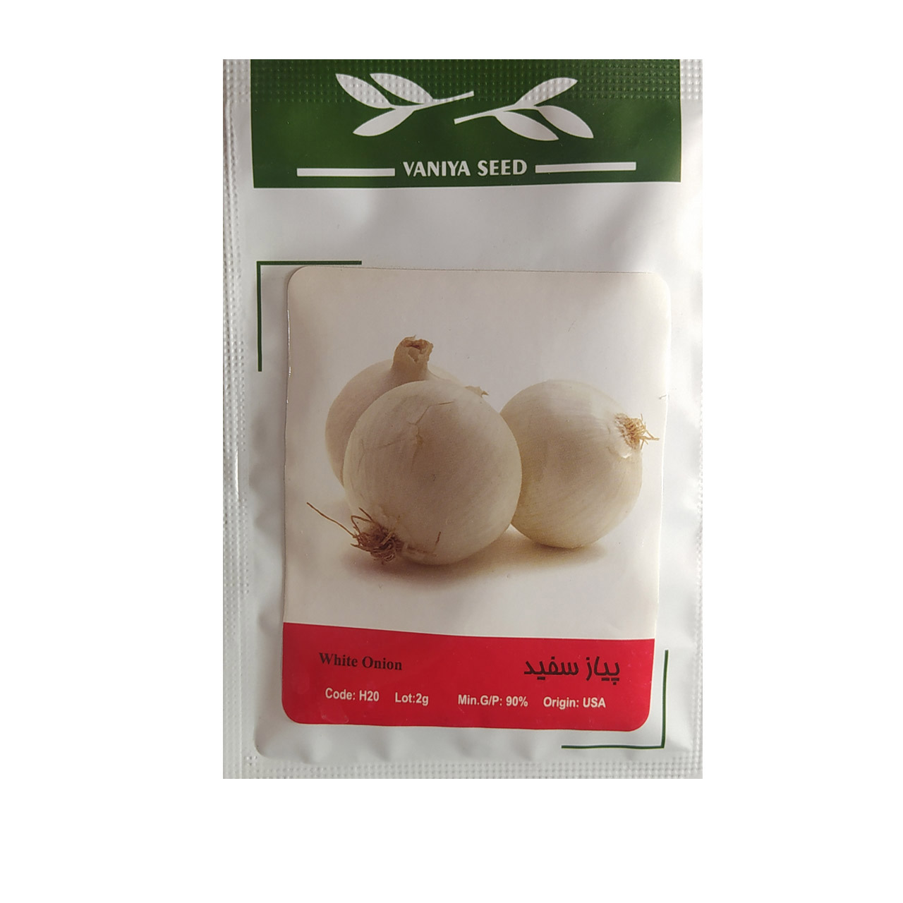 بذر پیاز سفید