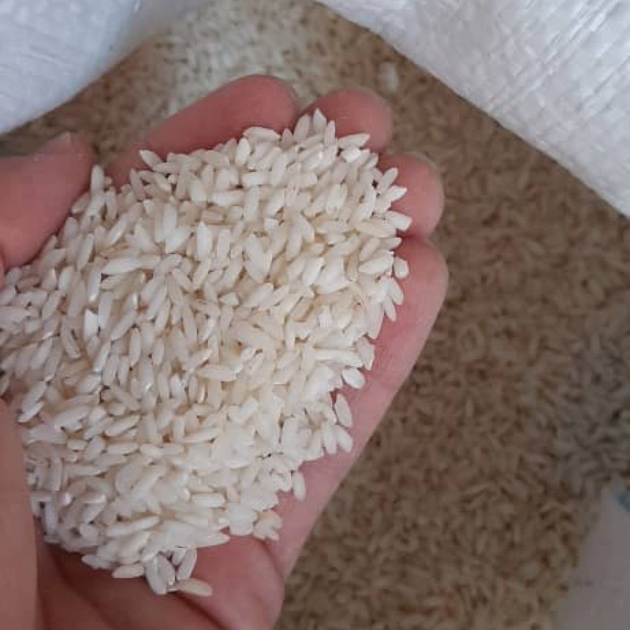برنج عنبر بو درجه یک 10 کیلویی (عطر و بو عالی)