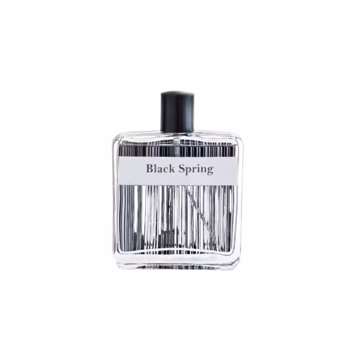 ادو پرفیوم مردانه مدل بلک اسپرینگ حجم 100 میل