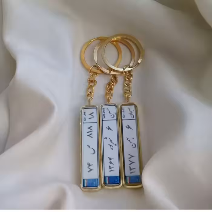 جاسویچی پلاک ماشین